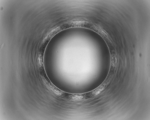 X0000060750718200511101115