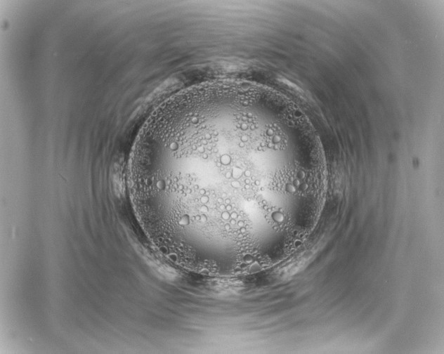 X0000060750719200511101115