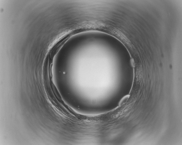 X0000060750722200511101115