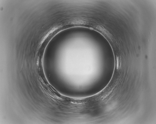 X0000060750723200511101115