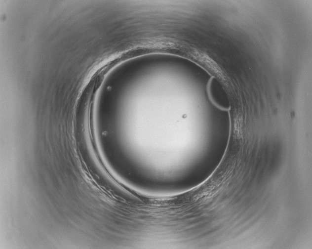 X0000060750724200511101115