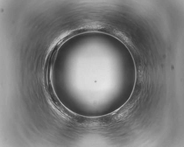 X0000060750726200511101115