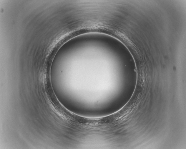 X0000060750728200511101115