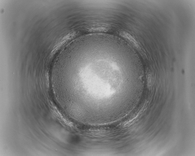 X0000060750729200511101115