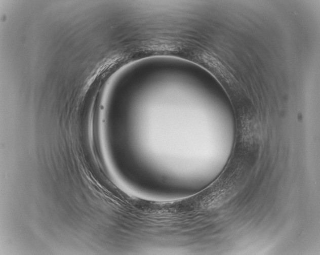 X0000060750731200511101115