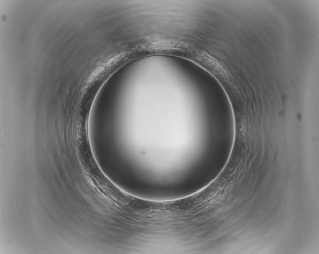 X0000060750732200511101115