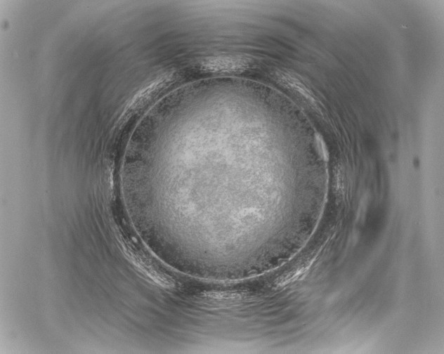 X0000060750733200511101115