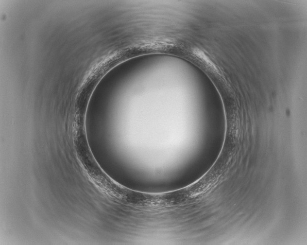 X0000060750736200511101115