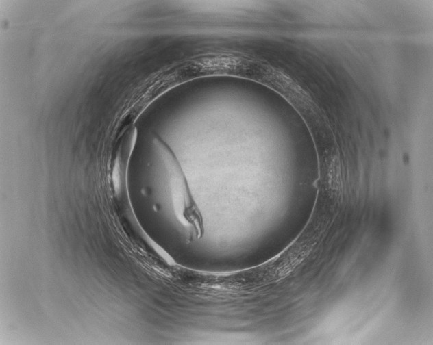 X0000060750737200511101115