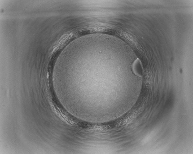 X0000060750738200511101115