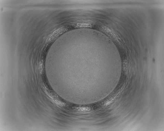 X0000060750741200511101115