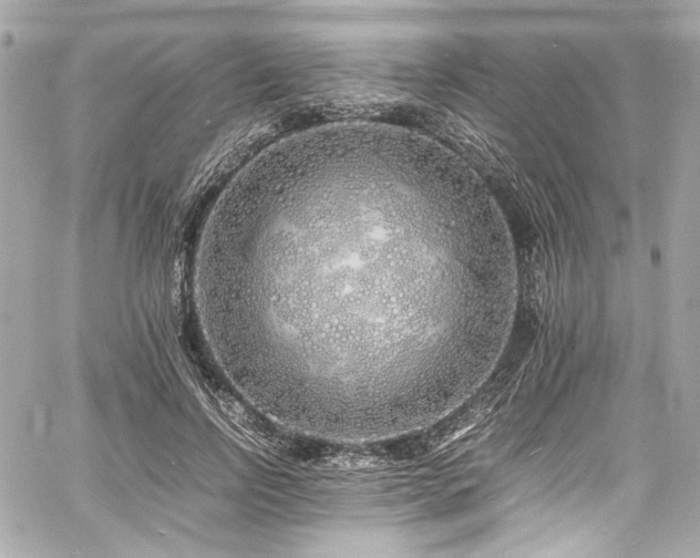 X0000060750742200511101115