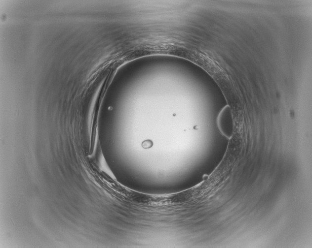 X0000060750744200511101115