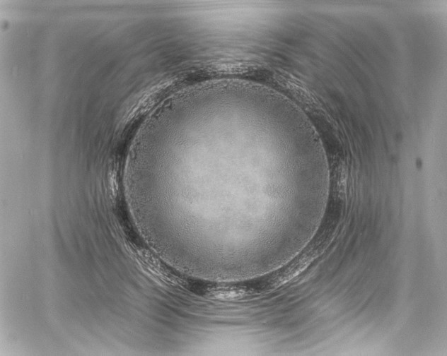 X0000060750746200511101115