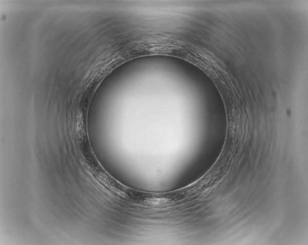 X0000060750748200511101115