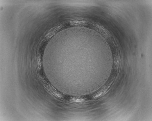 X0000060750749200511101115