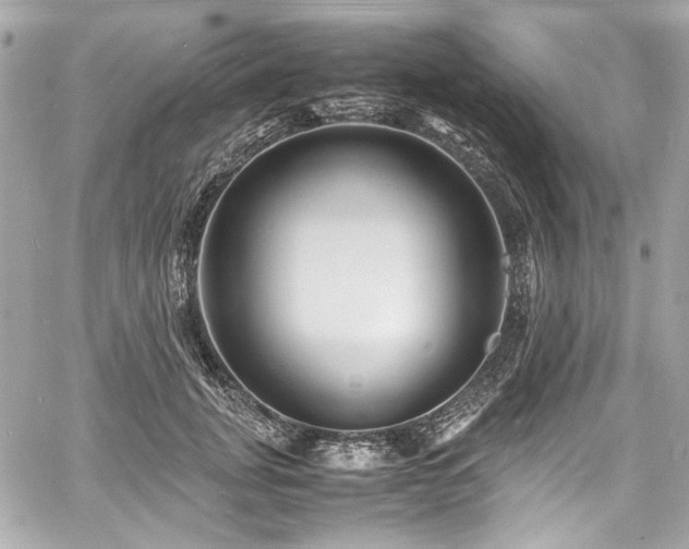 X0000060750751200511101115