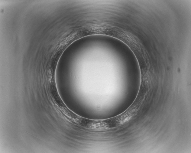 X0000060750752200511101115