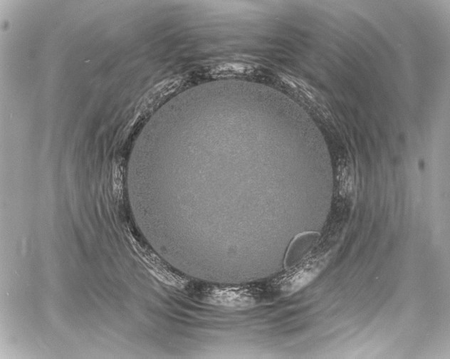 X0000060750753200511101115