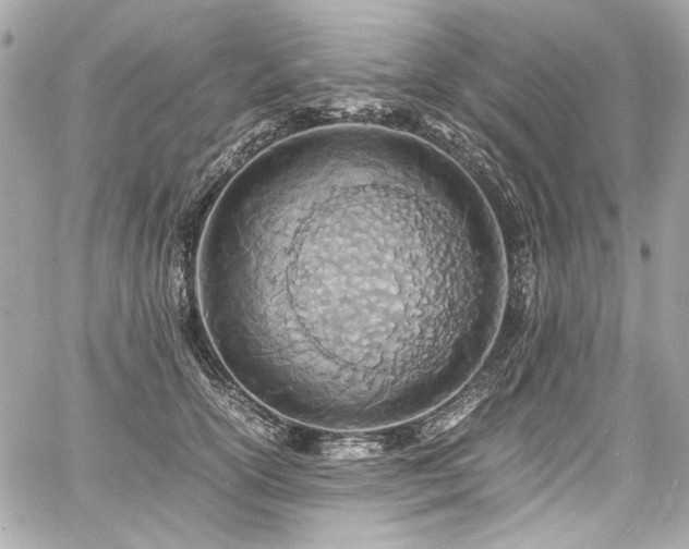 X0000060750754200511101115