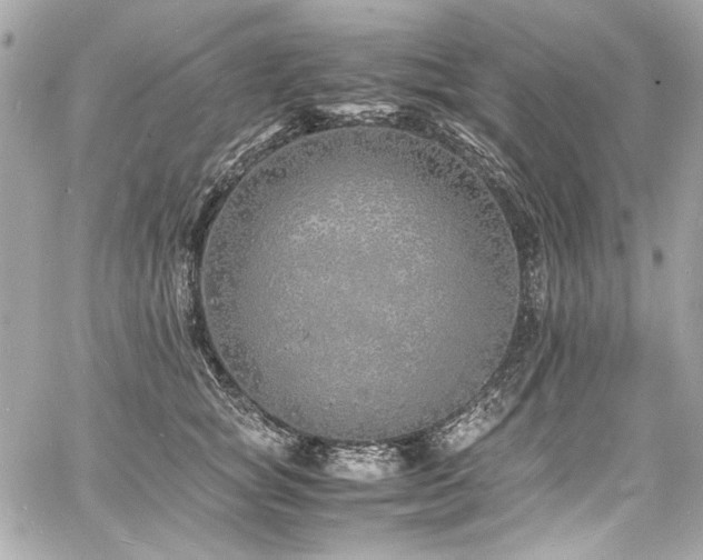 X0000060750757200511101115