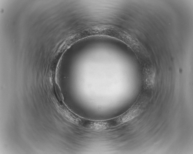 X0000060750758200511101115