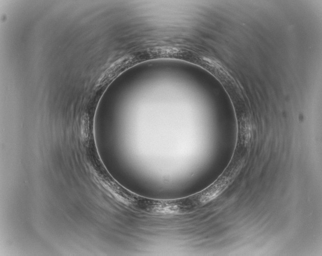 X0000060750760200511101115