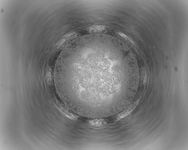 X0000060750761200511101115