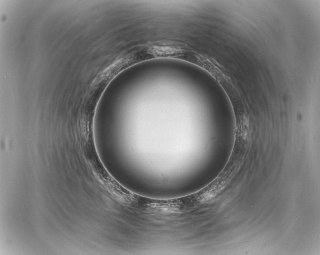 X0000060750763200511101115