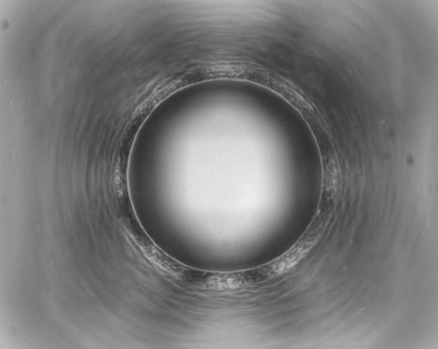 X0000060750764200511101115