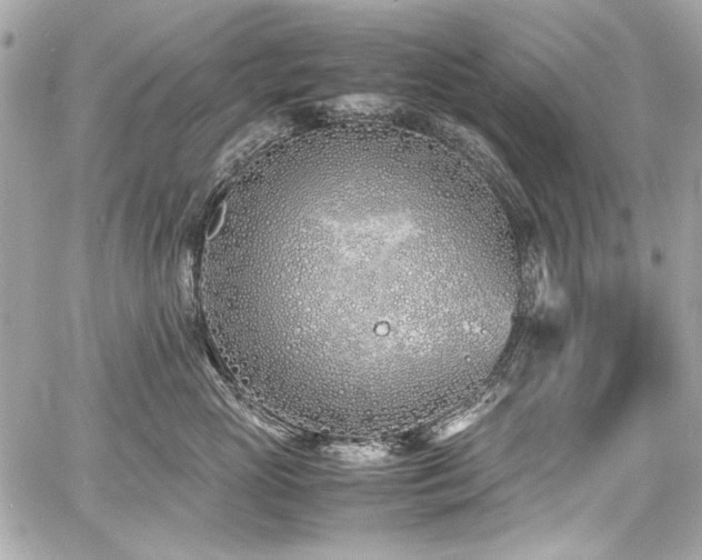 X0000060750765200511101115