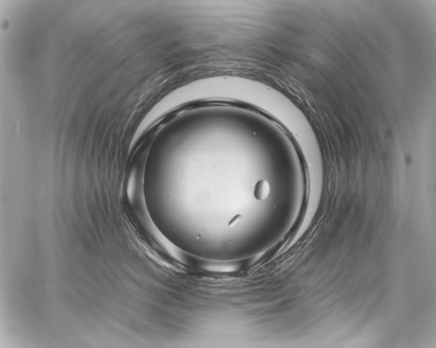 X0000060750766200511101115