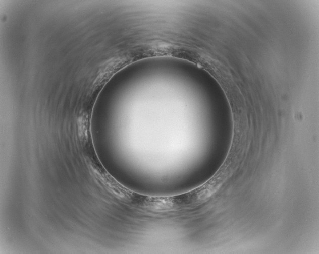 X0000060750768200511101115