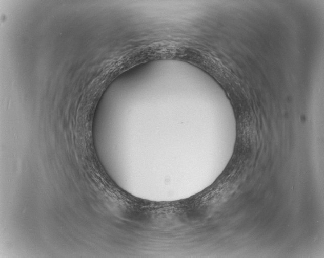 X0000060750769200511101115