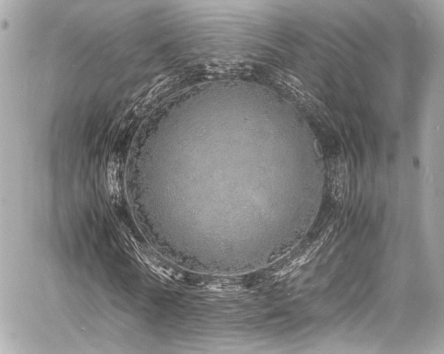 X0000060750770200511101115