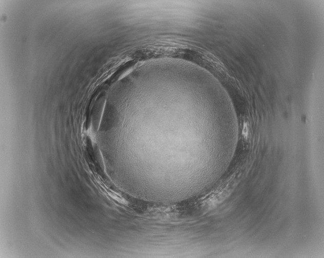 X0000060750771200511101115