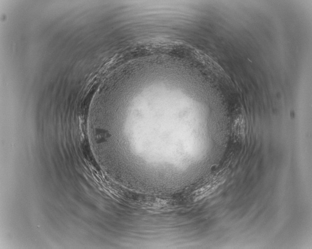 X0000060750772200511101115