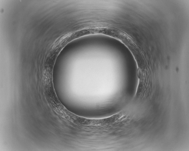 X0000060750773200511101115