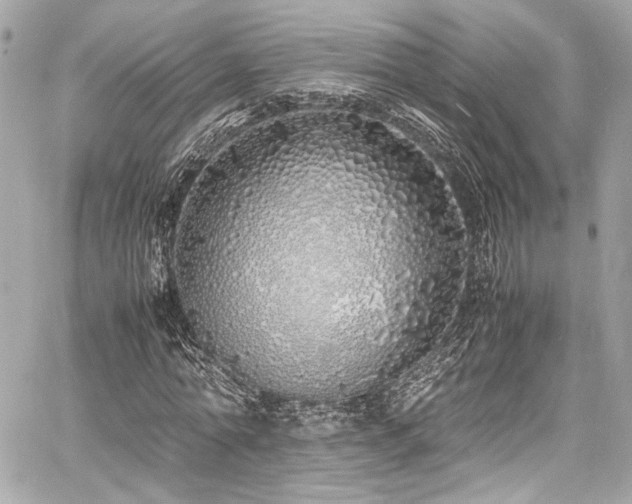 X0000060750774200511101115