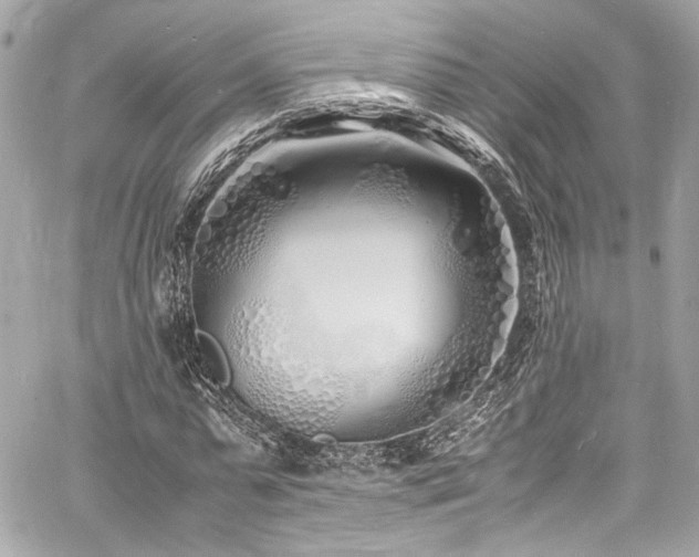 X0000060750775200511101114