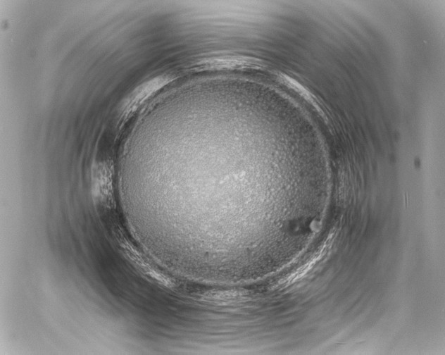 X0000060750778200511101114