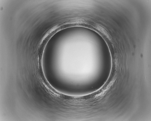 X0000060750781200511101114