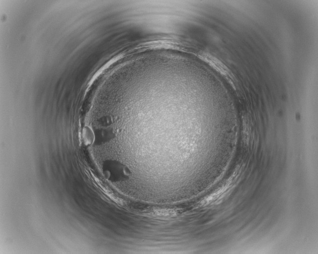 X0000060750782200511101114