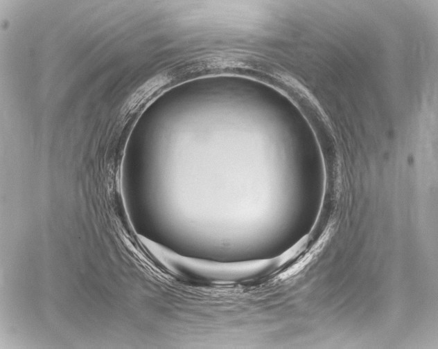 X0000060750785200511101114