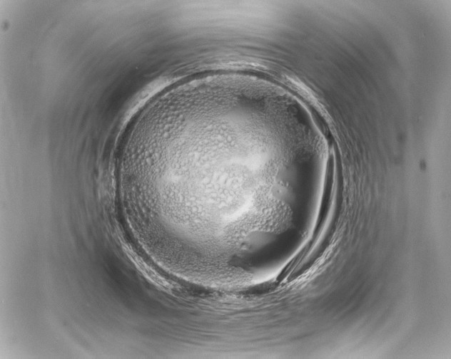 X0000060750787200511101114