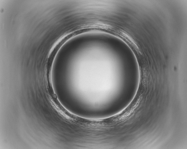 X0000060750788200511101114