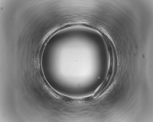 X0000060750789200511101114