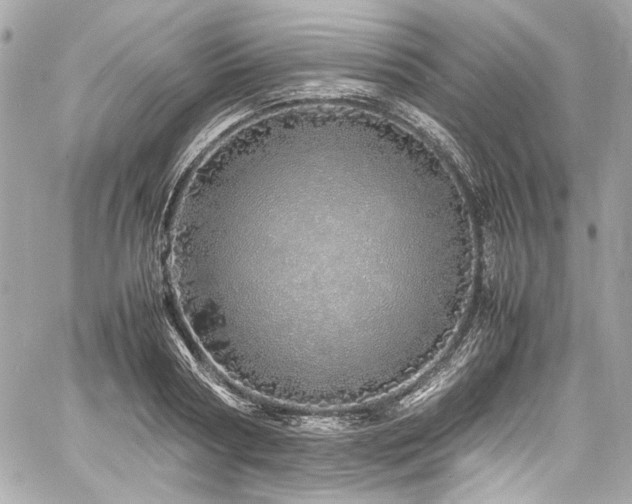 X0000060750794200511101114