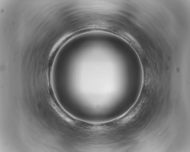 X0000060750796200511101114