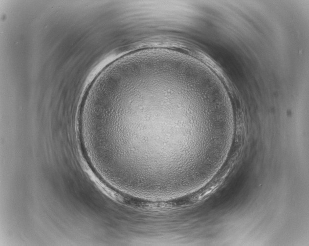 X0000060750803200511101114